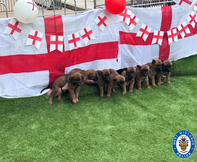 England litter