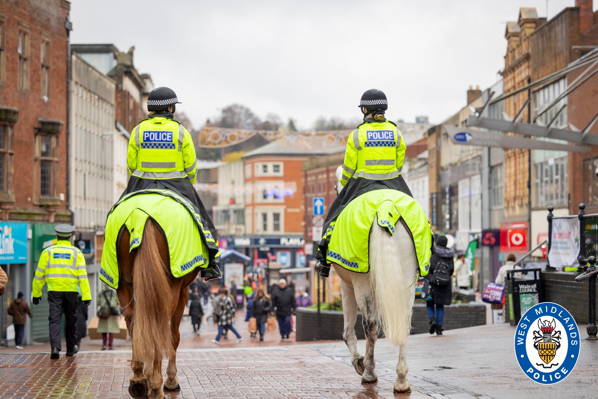 Walsall horses
