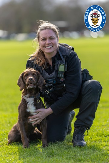 PD Chip