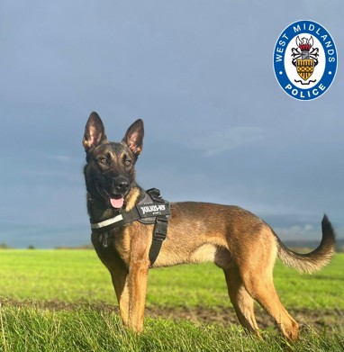 PD Tower