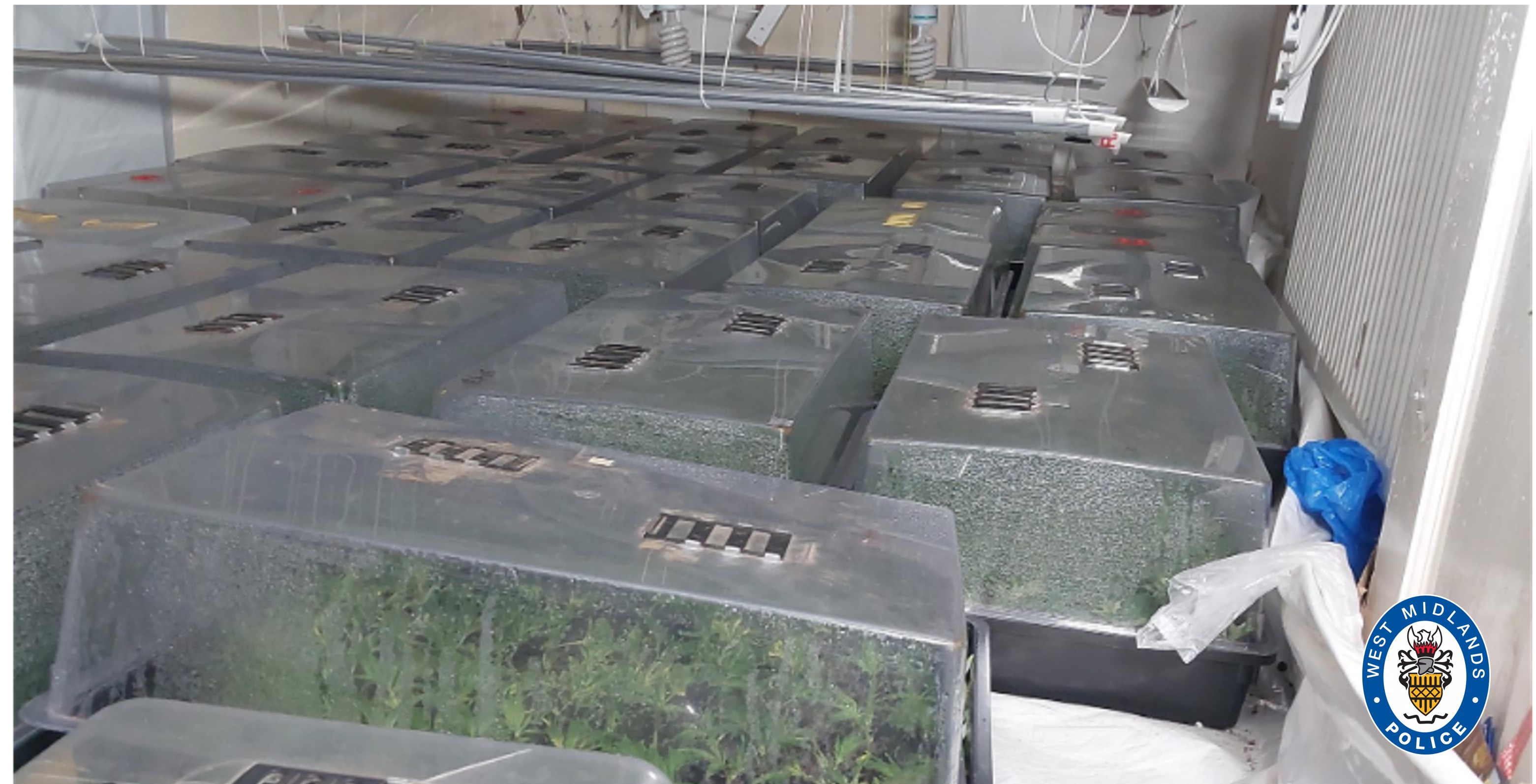 Huge cannabis haul discovered at property in Lozells