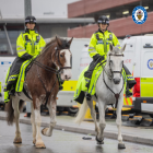police horses and vehicles