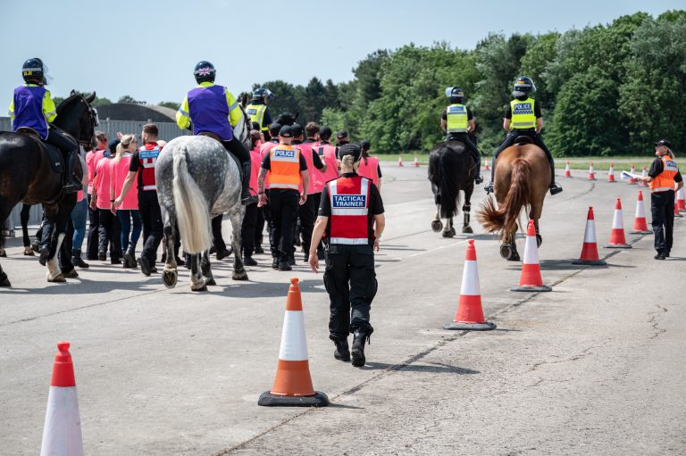 Horses 