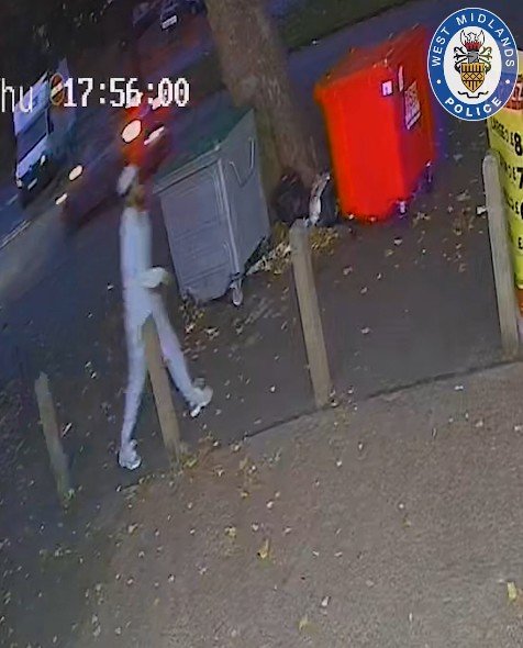 image of suspect