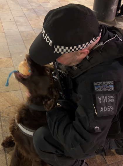 A police dog at work in Wolverhampton with its handler