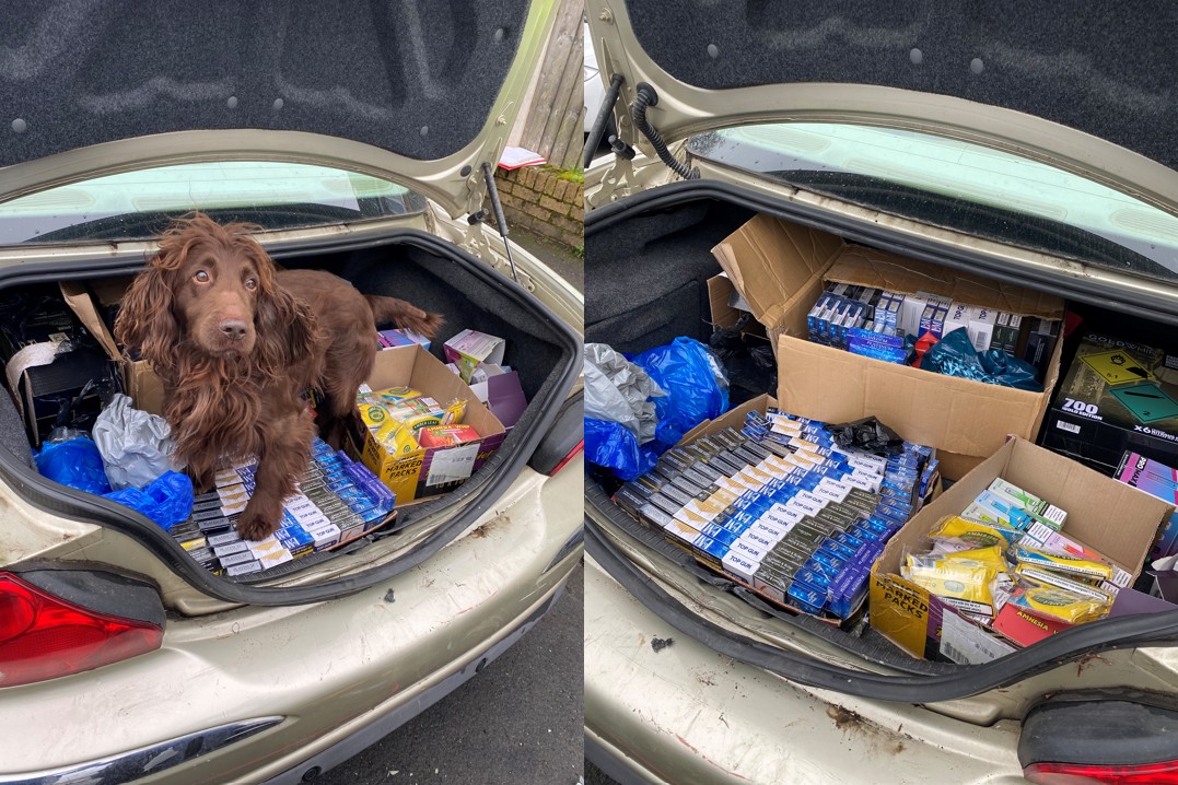 walsall trading standards and police seized drugs and tobacco Supporting Trading Standards to seize illegal goods in Walsall walsall trading standards and police seized drugs and tobacco Supporting Trading Standards to seize illegal goods in Walsall