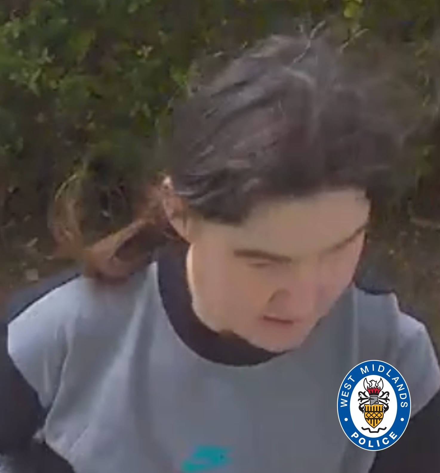 image of a suspect