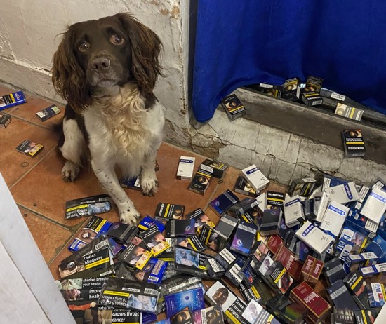 Sniffer dogs assisted in locating tobacco and drugs
