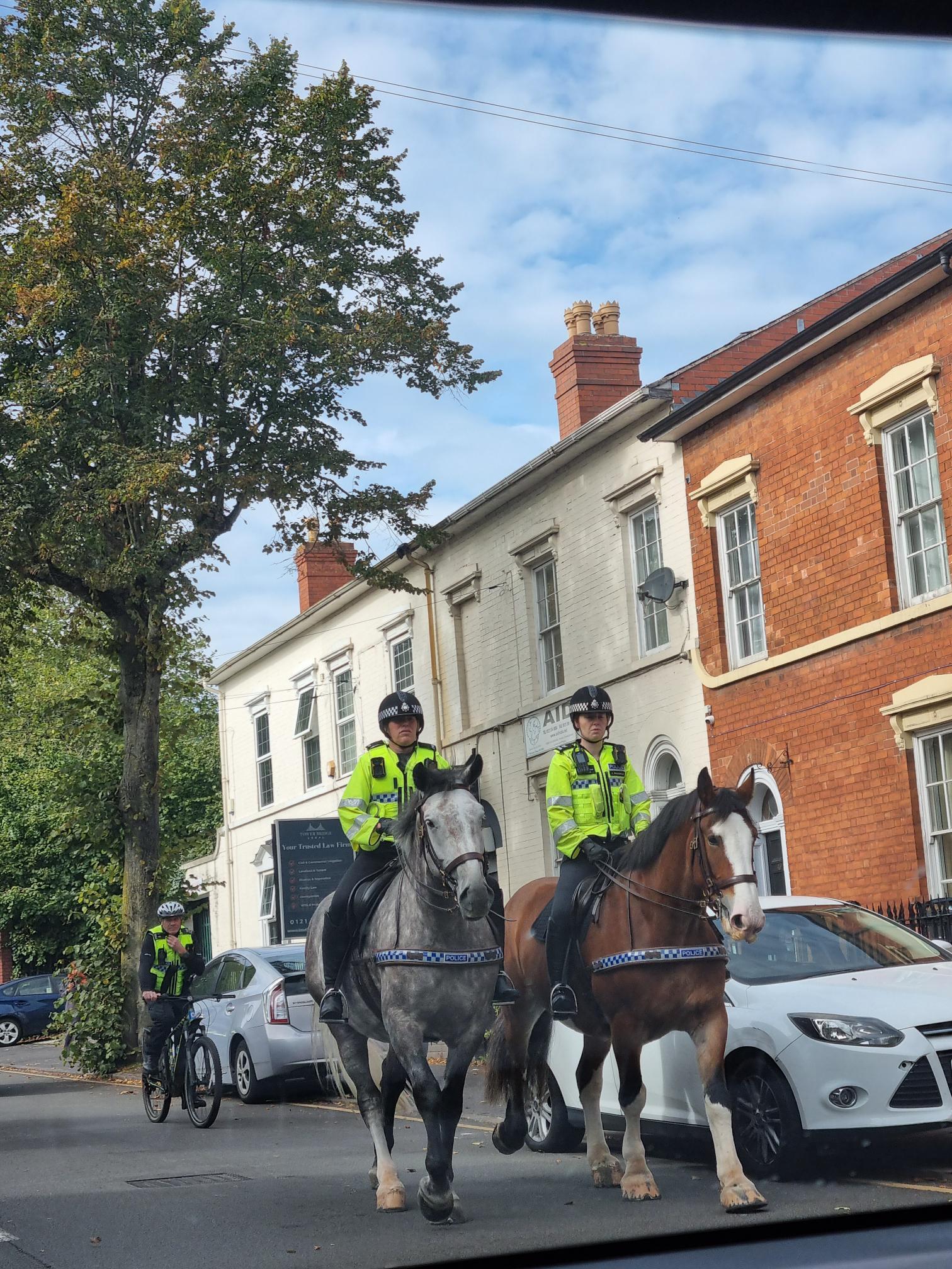 Operation Fearless officers and the Mounted Unit 