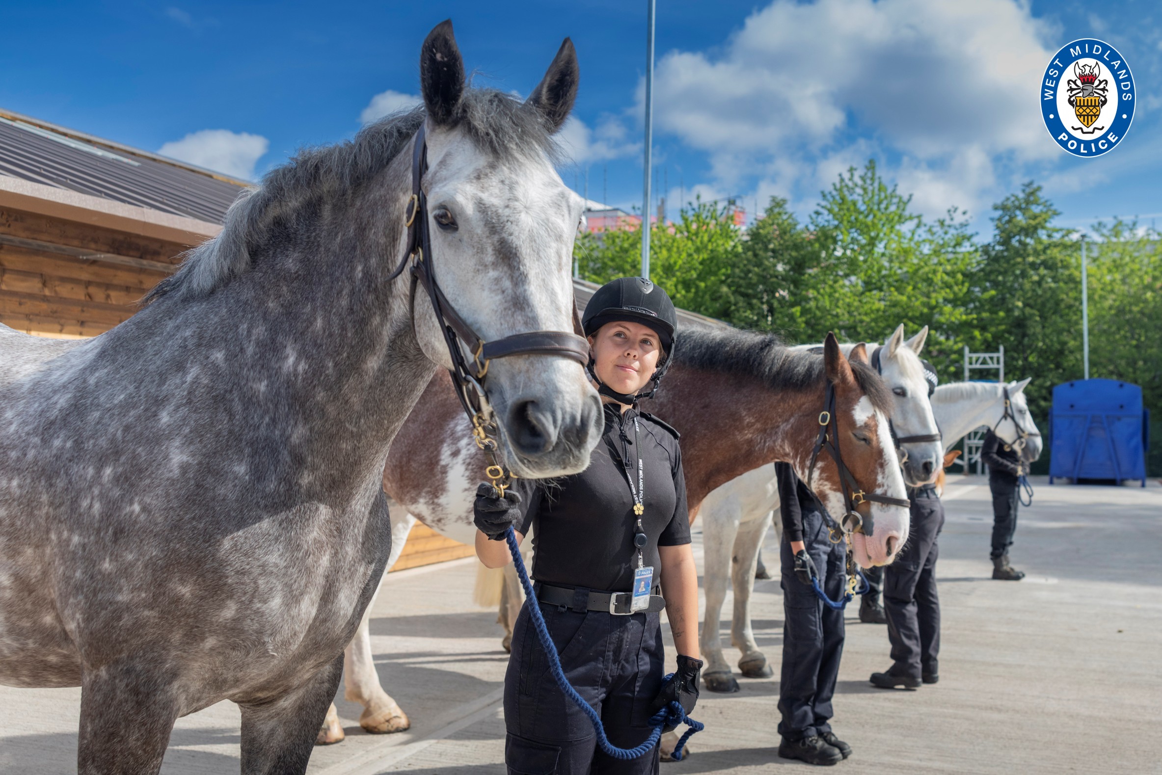 Mounted unit