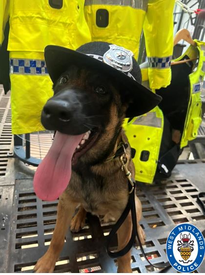 Police dog
