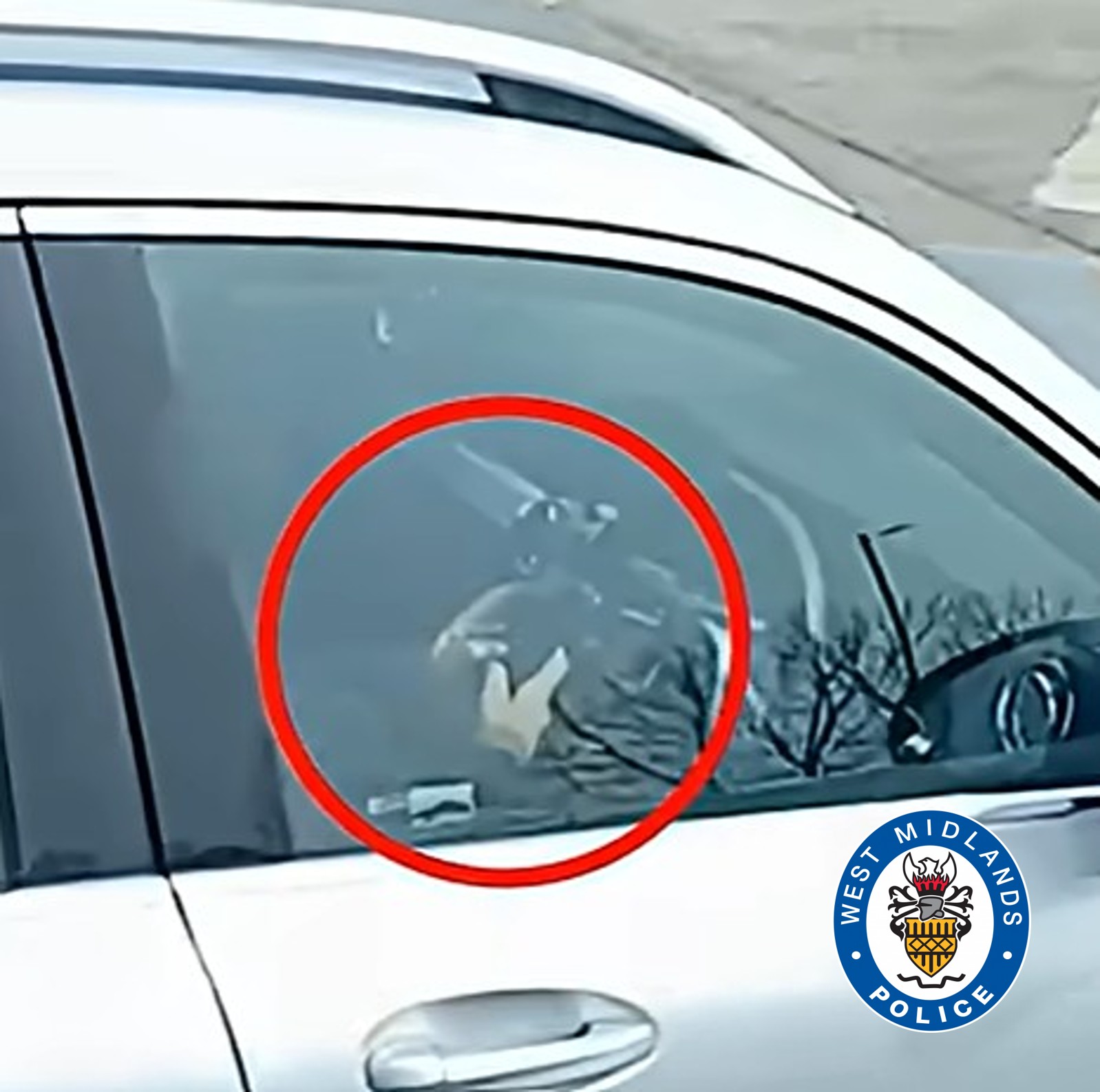 image from the video