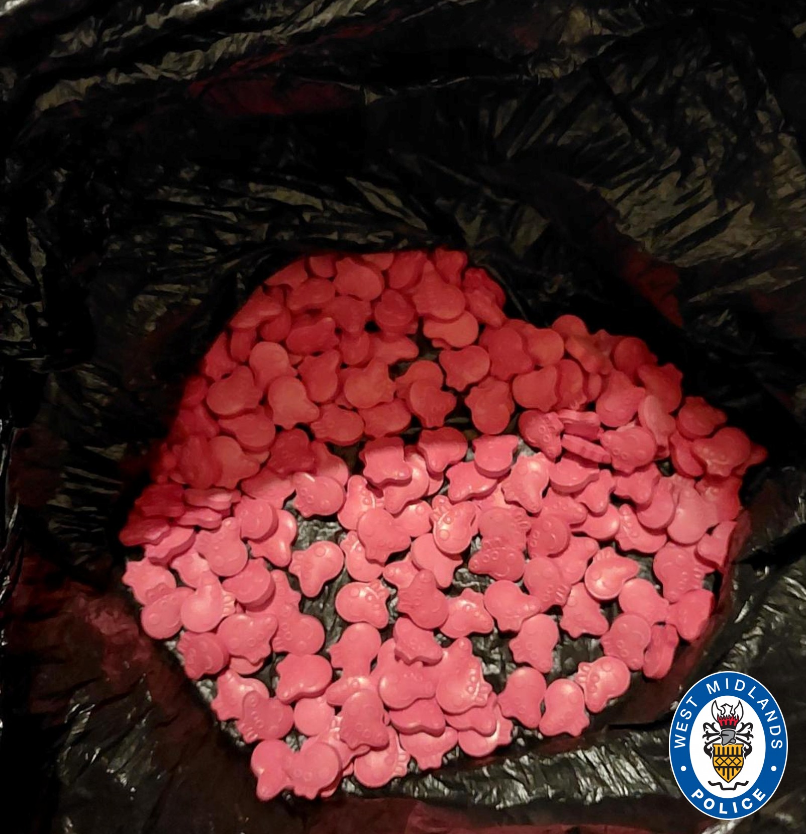 Seized ecstasy