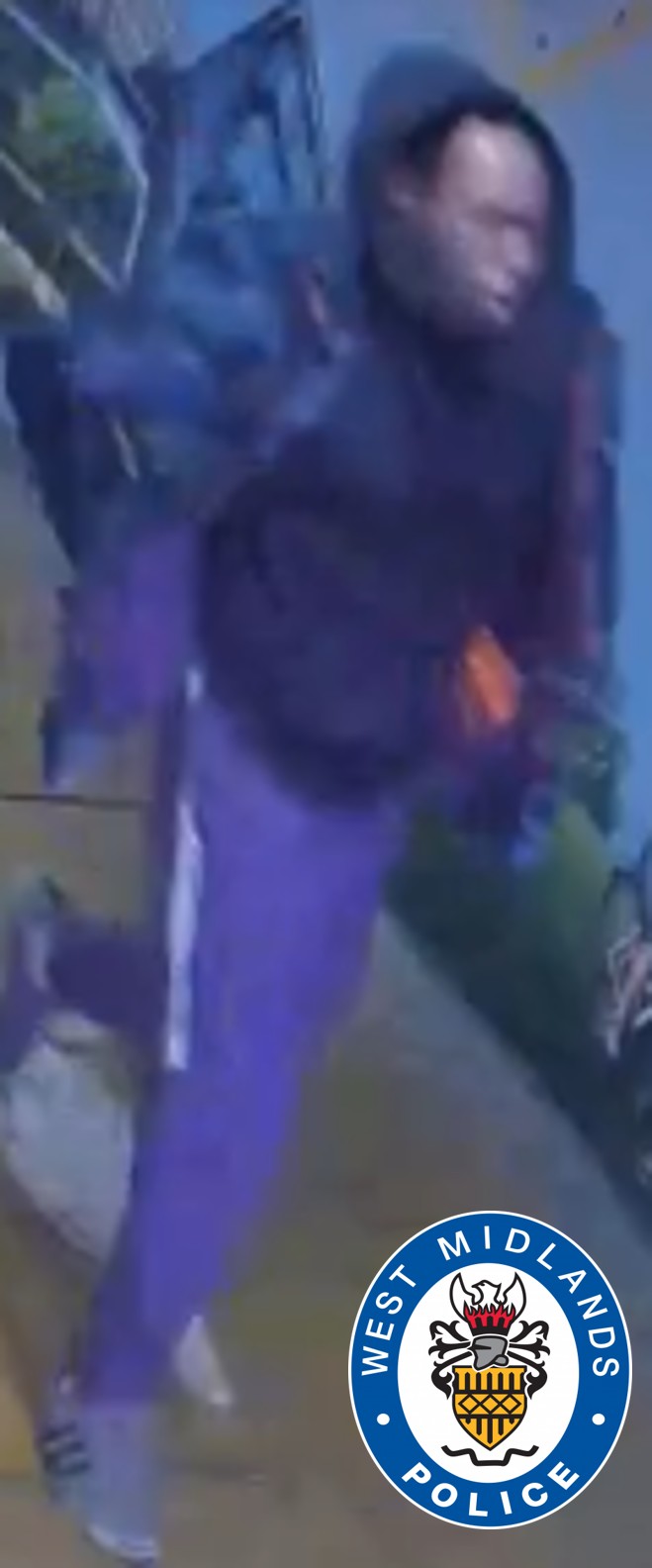 image of the suspect