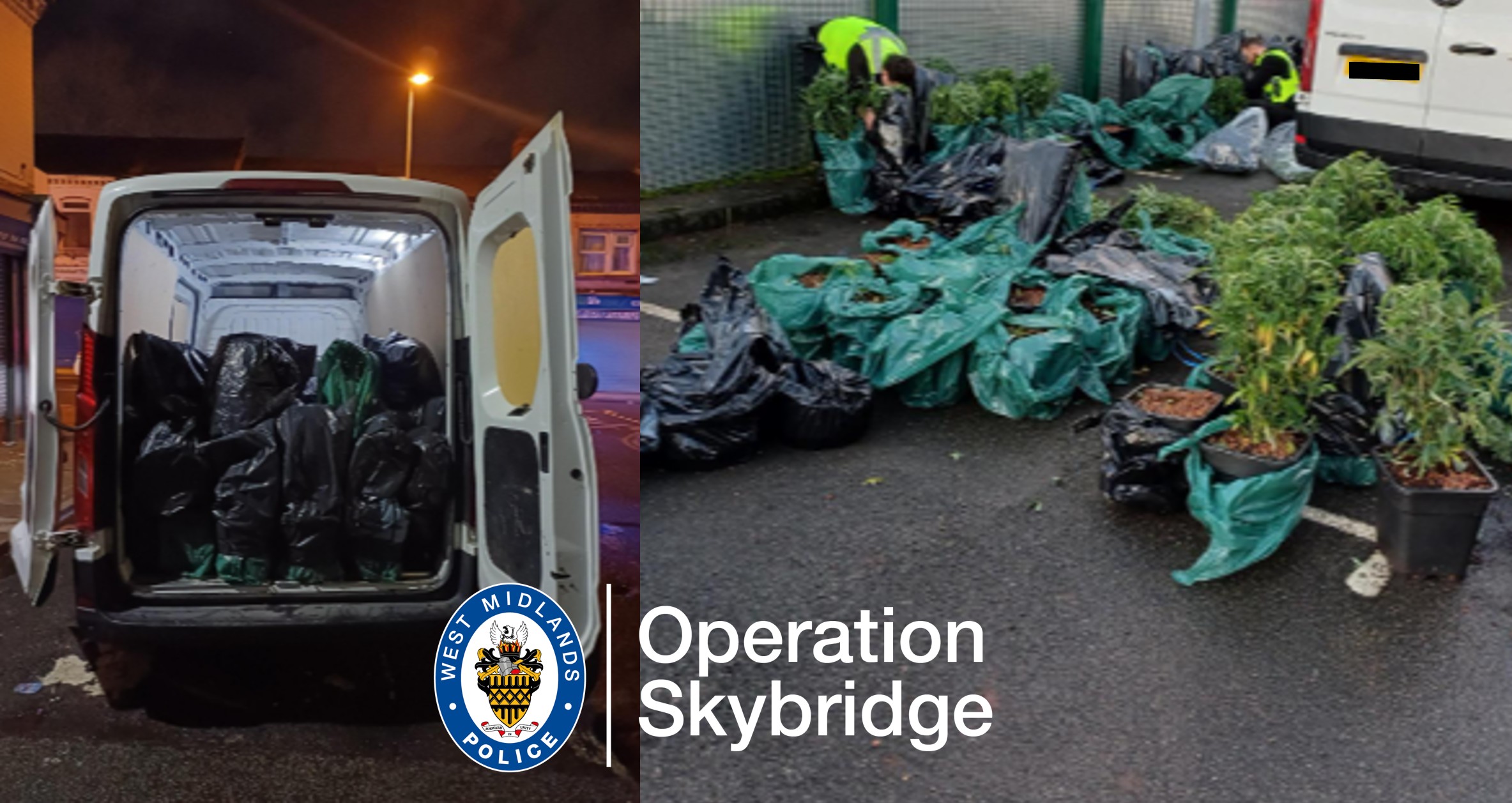 Drugs seizure