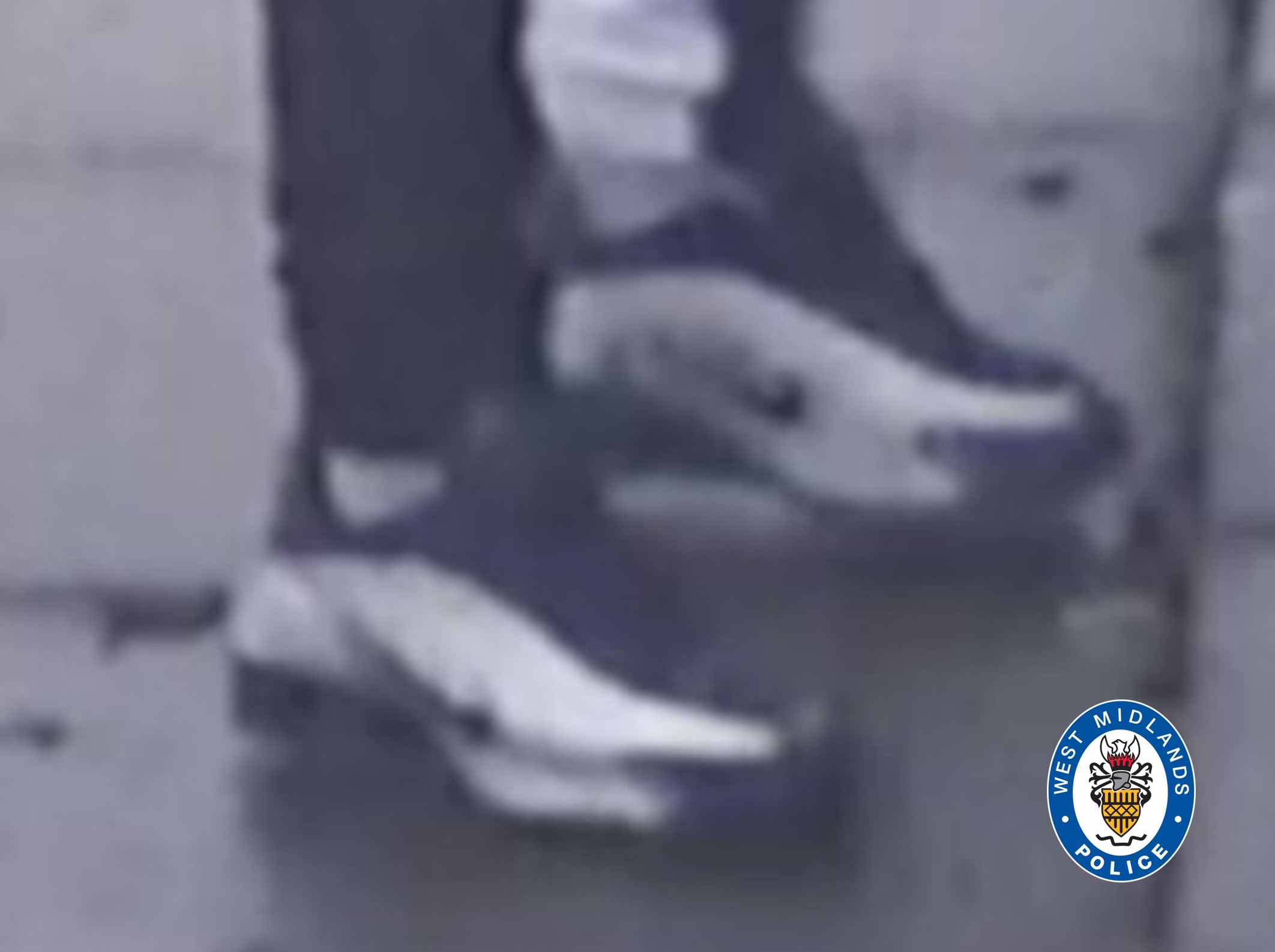 Trainers wm.jpg
