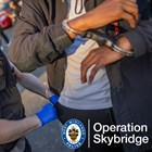 Skybridge