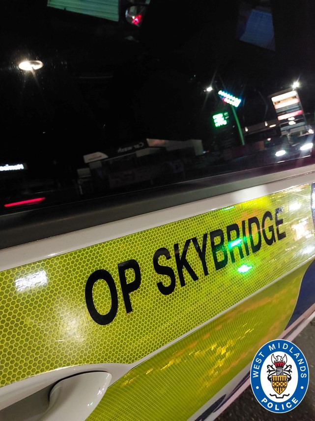 Skybridge car